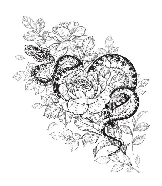 Vector illustration of Hand drawn twisted Snake and roses