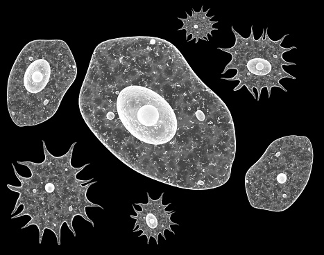Amoebas, pathogenic bacterias or viruses. Virus under microscope. Fast multiplication of bacteria. Infection and microbe. Isolated on black background. 3d render