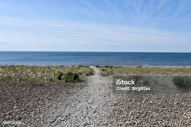 The Swedish Nature Reserve Neptuni Akrar Stock Photo - Download Image Now - Baltic Sea, Beach, Blue