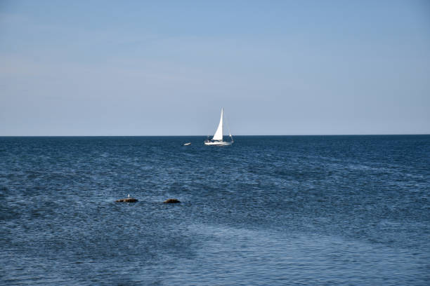 istock Sailing boat in blue water by the coast 1269720978
