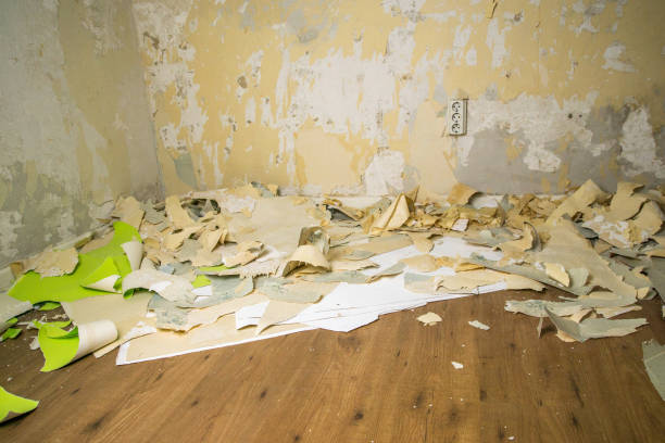 istock Construction site removing wallpaper in the house interior on Laminta children's room 1269721289