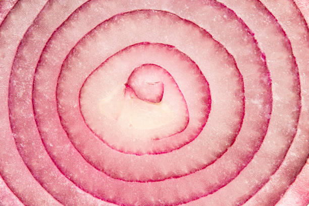Red onion detail cut.