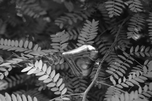 Toy heart on a tree branch close-up. Background image. Symbol.