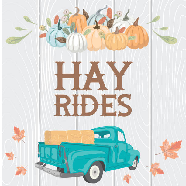 가을 수확 건초 놀이기구 픽업 트럭 - farm pumpkin autumn farmer stock illustrations