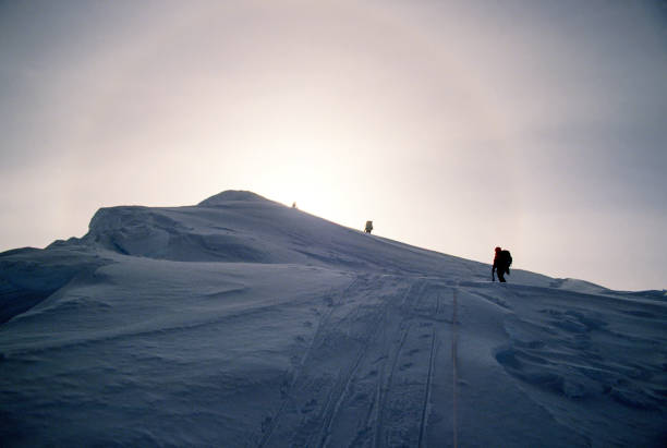 istock Peak experience: reaching the summit of Denali 1269723717