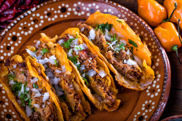 taco z grilla - mexican dish zdjęcia i obrazy z banku zdjęć