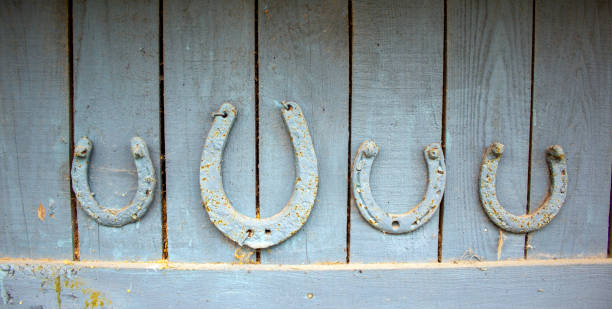 set of old rusty horseshoes on a wooden background. horseshoe is a symbol of good luck. - horseshoe good luck charm cut out luck imagens e fotografias de stock