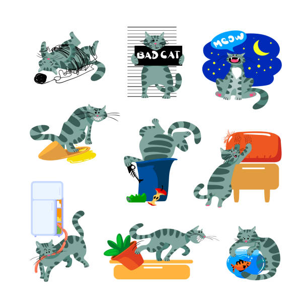 Set Bad Cat Behavior Icons. Kitten Meowing at Night, Scratch and Mark Sofa, Piss into Slipper, Dig in Garbage, Fishing Set Bad Cat Behavior Icons. Kitten Meowing at Night, Scratch and Mark Sofa, Piss into Slipper, Dig in Garbage, Fishing in Aquarium, Play with Clew and Steal Sausage. Cute Cartoon Vector Illustration cat and sausage stock illustrations