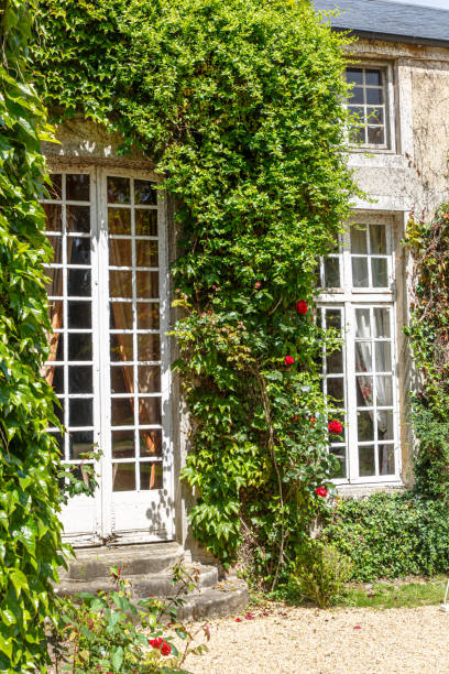 istock Bushes with red roses against a stone wall and an old window with white bindings. 1269733169