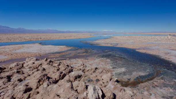 paesaggio di laguna di sale scuro colorato dalle alghe microbiotiche nel parco nazionale dei fenicotteri nella riserva nazionale di los flamencos nel deserto di atacama (cile) - microbiotic foto e immagini stock