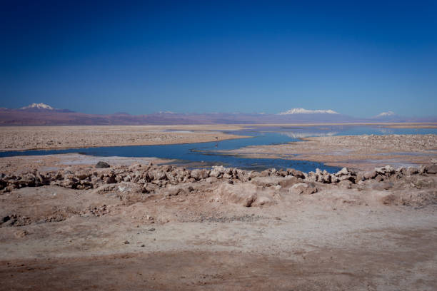 paesaggio di laguna di sale scuro colorato dalle alghe microbiotiche nel parco nazionale dei fenicotteri nella riserva nazionale di los flamencos nel deserto di atacama (cile) - microbiotic foto e immagini stock