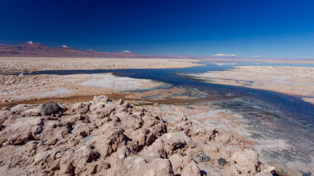 paesaggio di laguna di sale scuro colorato dalle alghe microbiotiche nel parco nazionale dei fenicotteri nella riserva nazionale di los flamencos nel deserto di atacama (cile) - microbiotic foto e immagini stock