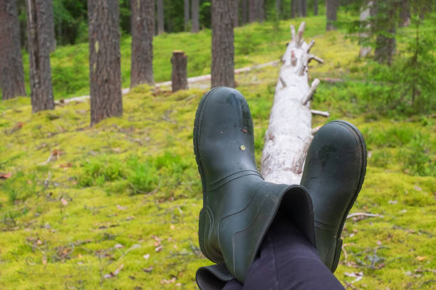istock Resting on the fallen tree at the forest. Rubber boots on the nature 1269740553