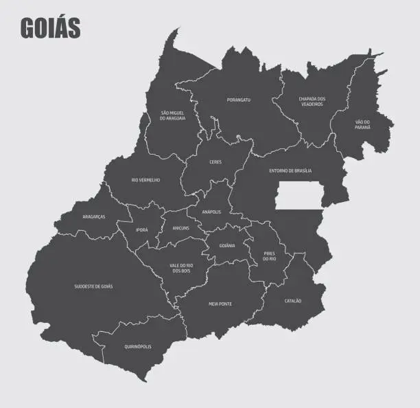 Vector illustration of Goias State regions map
