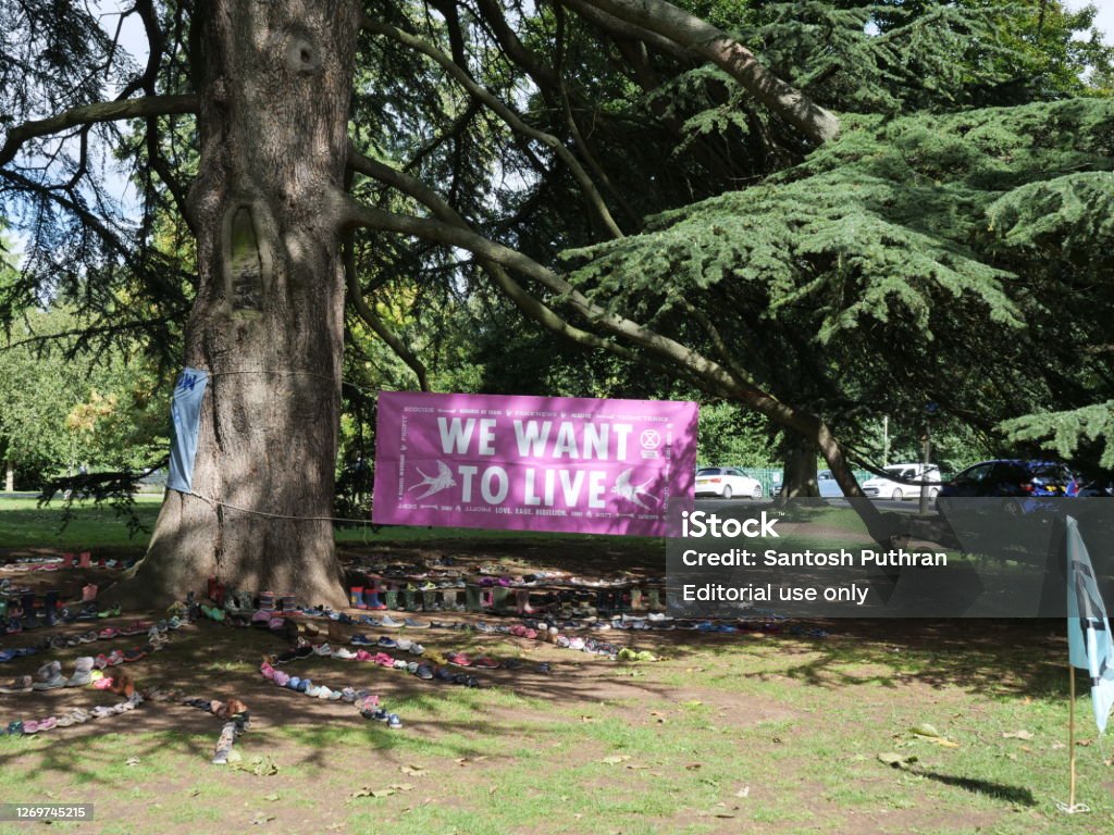 Extinction rebellion banner We want to live The big banner under  the giant tree with plastic waste underneath it to show dangers of pollution on the planet. Location: Pittville Park, Cheltenham, England, UK  Aug 31, 2020 Coffin Stock Photo