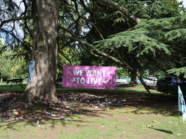 Extinction rebellion banner We want to live The big banner under  the giant tree with plastic waste underneath it to show dangers of pollution on the planet. Location: Pittville Park, Cheltenham, England, UK  Aug 31, 2020 extinction rebellion photos stock pictures, royalty-free photos & images