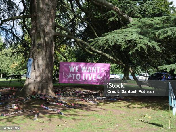 Extinction Rebellion Banner We Want To Live Stock Photo - Download Image Now - Coffin, Climate Change, Motion