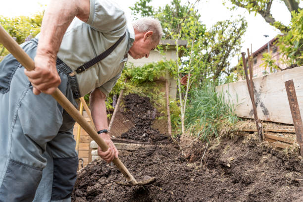 istock Senior Man Picking Up Dirt from the Garden Compost 1269747289