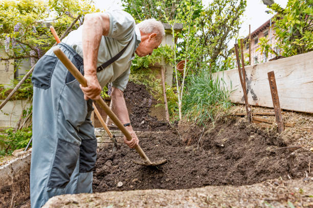 istock Senior Man Picking Up Dirt from the Garden Compost 1269747294