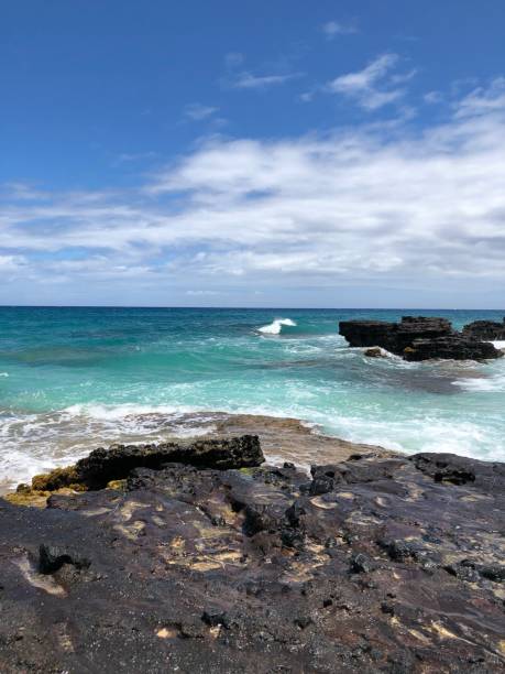 istock Blues of Hawaii 1269749209