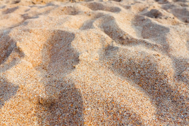 istock Sand on the beach as background. Dune sand 1269751077