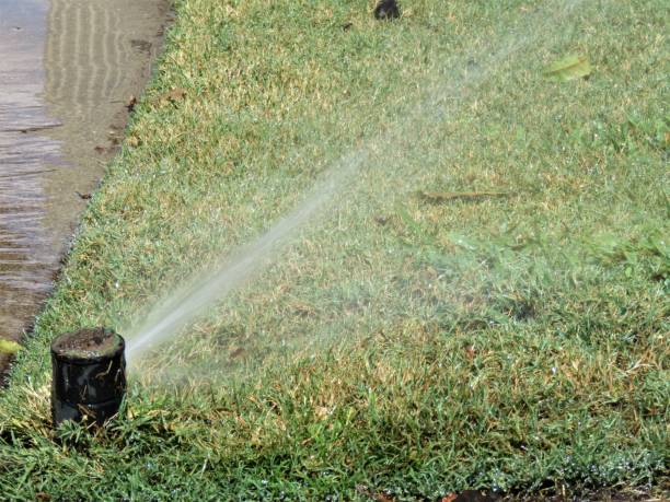 istock Water Sprinkler, Grass, Concrete. Wasting Water. Water Conservation. 1269751932