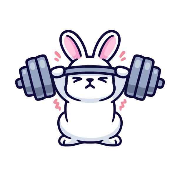 gym hase, kaninchen heben langhantel - rabbit humor animal cartoon stock-grafiken, -clipart, -cartoons und -symbole