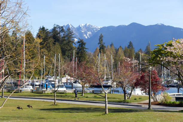 istock Devonian Harbour Park in Vancouver at sunny day 1269765073