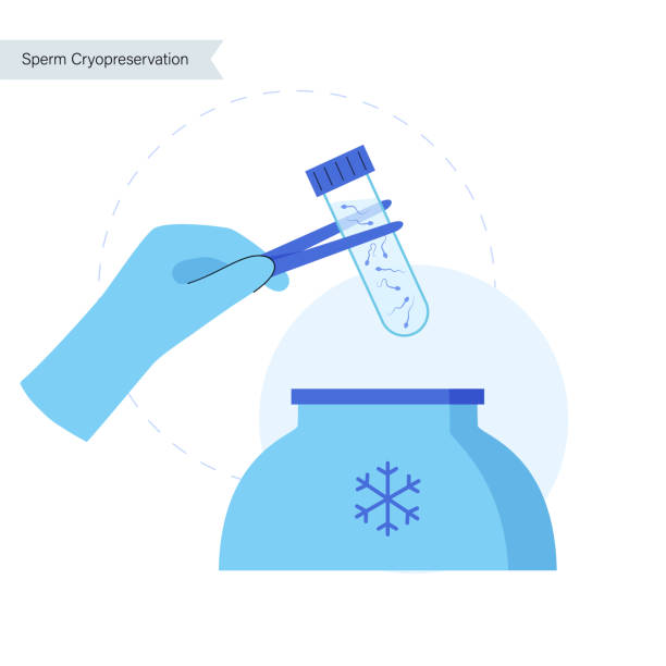 Test Tube Baby Process Illustrations, Royalty-Free Vector Graphics & Clip Art - iStock Test Tube Baby Process Illustrations, Royalty-Free Vector Graphics & Clip Art - iStock