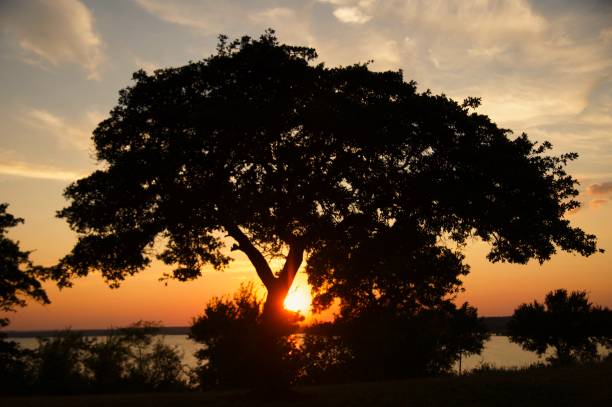 istock Sunset at Lake Whitney Texas 1269769389