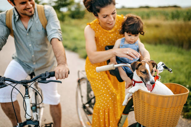 istock Family on vacation, driving bicycles 1269777186
