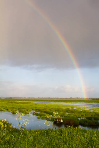istock Rainbow at Onnerpolder, Zuidlaardermeer in the Netherlands 1269779542