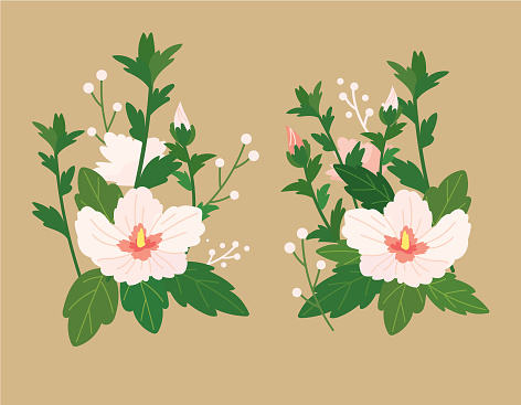 Ilustración de Flor Nacional De Corea Rosa De Sharon y más Vectores Libres  de Derechos de Asia - Asia, Corea, Recortable - iStock