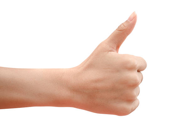 Closeup of hand showing thumbs up sign isolated on white background with clipping path.