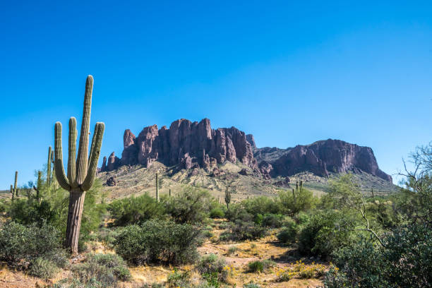 istock An overlooking view of nature in Apache Junction, Arizona 1269786050