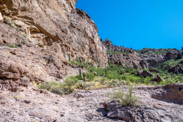 istock An overlooking view of nature in Apache Junction, Arizona 1269786055