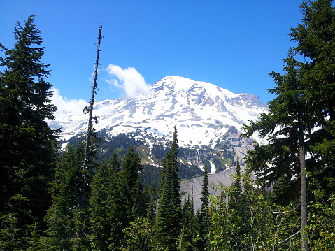 View of Mt Rainier on a clear summer day from the scenic drive in the national park