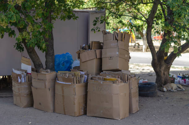 Cardboard boxes are stacked at the waste paper reception point. A stray dog is resting in the background. Recyclable materials collection point.