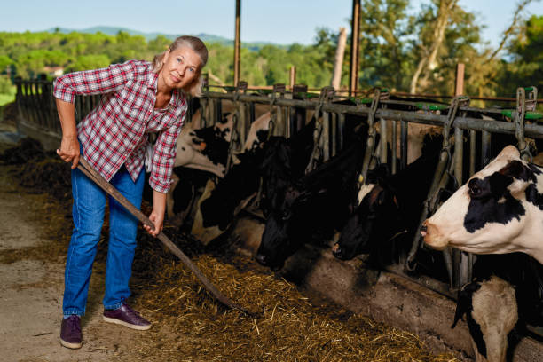 istock Farmer woman is working on farm with dairy cows 1269807882