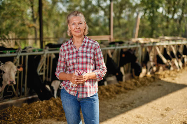 istock Farmer woman is working on farm with dairy cows 1269808217