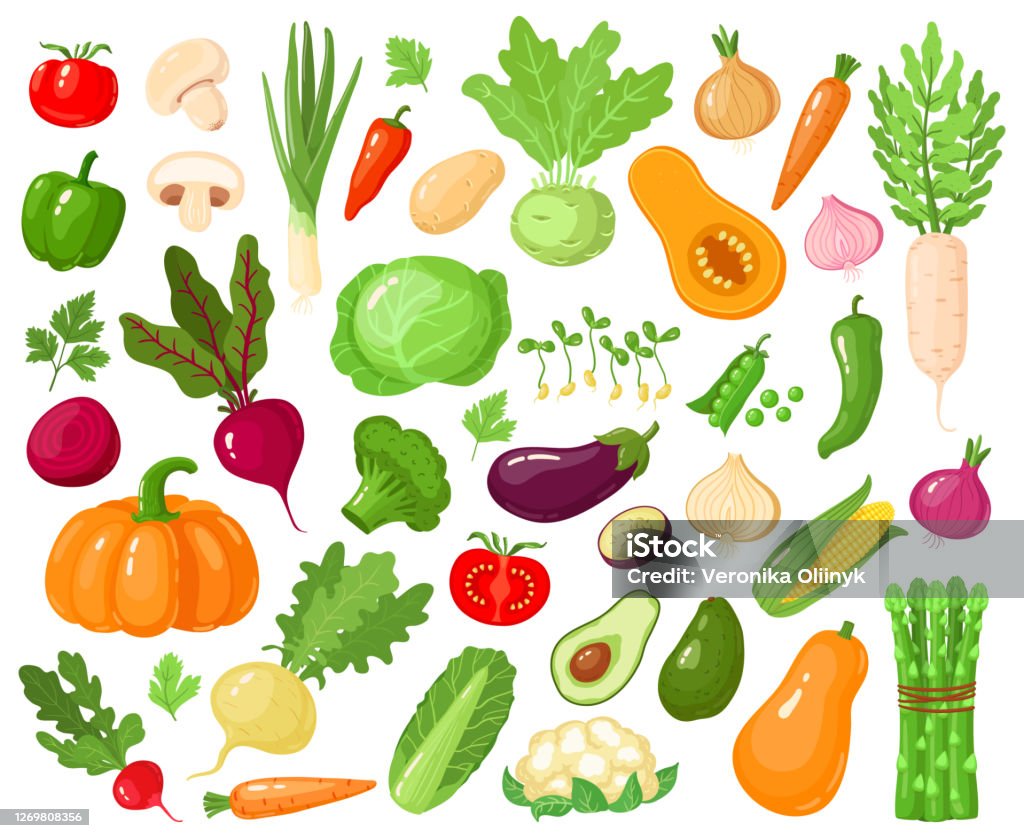 Ilustración de Verduras De Dibujos Animados Comida Vegetariana Vegetariana Tomate Calabaza Calabacín Y Zanahoria Iconos De Ilustración Vegetariana De Vectores Vegetales Crudos Frescos y más Vectores Libres de Derechos de Agricultura - Ilustración de Verduras De Dibujos Animados Comida Vegetariana Vegetariana Tomate Calabaza Calabacín Y Zanahoria Iconos De Ilustración Vegetariana De Vectores Vegetales Crudos Frescos y más Vectores Libres de Derechos de Agricultura -