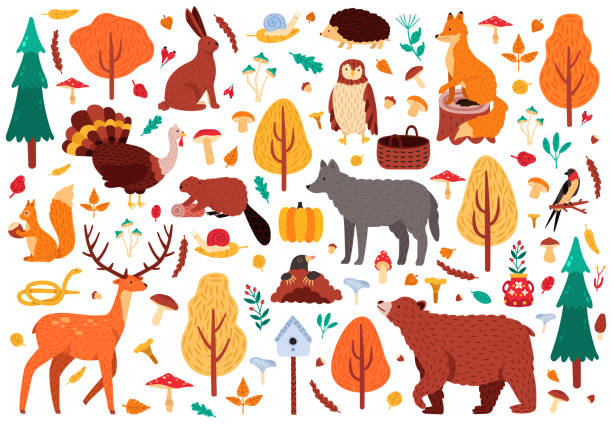 Autumn cute animals. Wild hand drawn bear raccoon fox and deer characters, woodland birds and animals isolated vector illustration icons set Autumn cute animals. Wild hand drawn bear raccoon fox and deer characters, woodland birds and animals isolated vector illustration icons set. Woodland bird and bear, autumn deer and forest fox mole animal stock illustrations