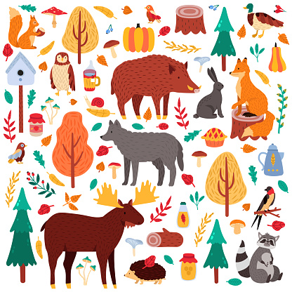 Cartoon Autumn Animals Cute Woodland Birds And Animals Moose Duck Wolf And  Squirrel Wild Woods Fauna Isolated Vector Illustration Icons Set Stock  Illustration - Download Image Now - iStock