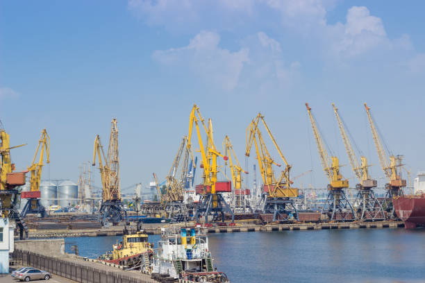 istock Sea cargo port with harbor cranes, sea tugs on foreground 1269812213