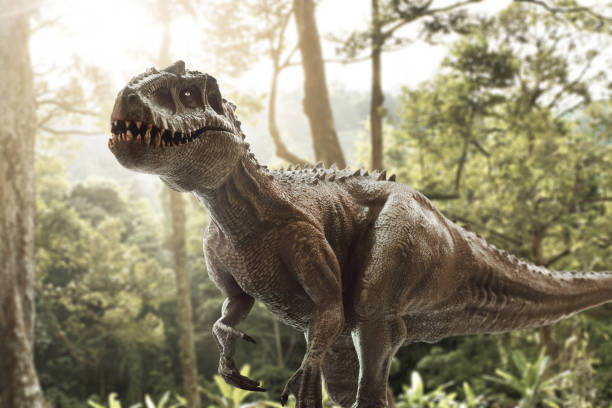 istock Dinosaur, Tyrannosaurus Rex in the jungle 1269813675