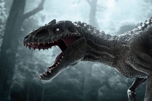 istock Dinosaur, Tyrannosaurus Rex in the jungle 1269813677