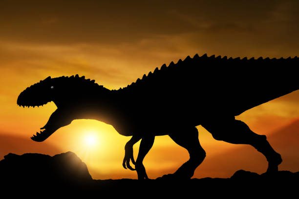 istock Dinosaur silhouette, Tyrannosaurus Rex at sunset 1269813718
