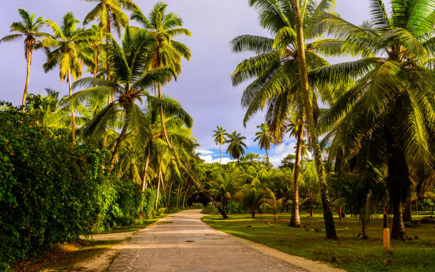 istock Walking in a clear morning after strong thunderstorm in La Digue Island 1269814839
