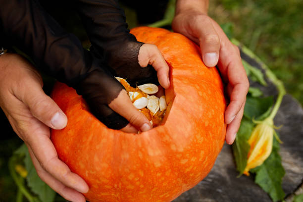istock Daughter and father hands carving pumpkin for Halloween, Prepares Jack o'Lantern 1269815722