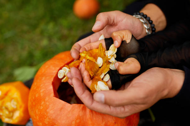 istock Daughter and father hands carving pumpkin for Halloween, Prepares Jack o'Lantern 1269815726